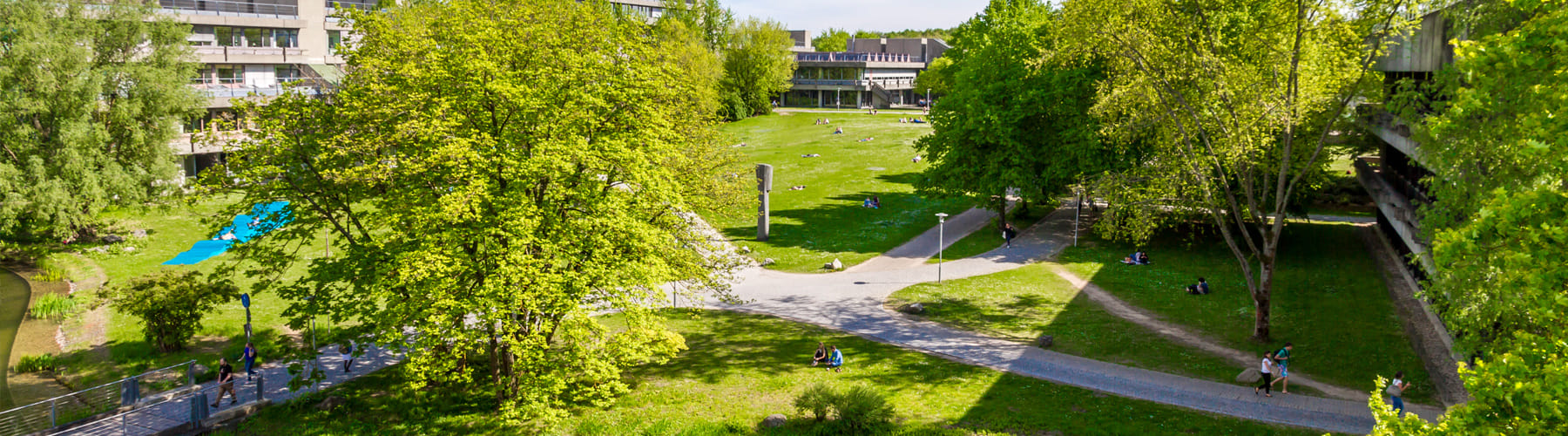 Master Information Systems Studierende